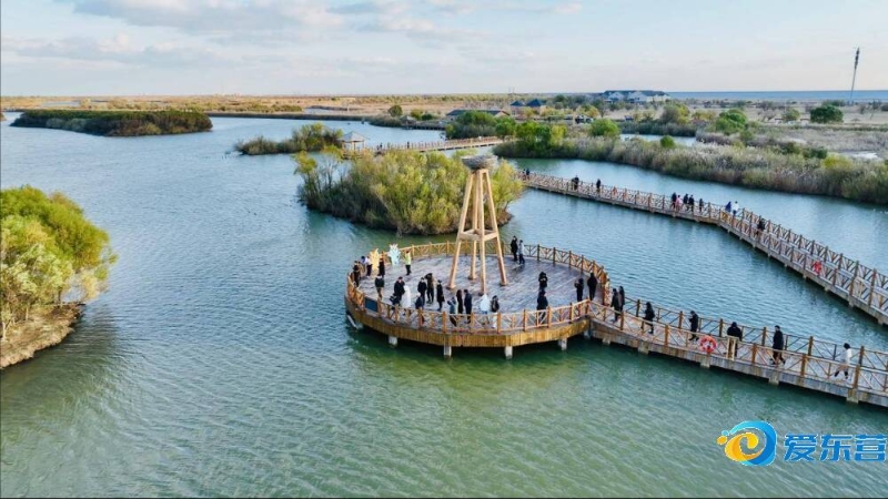 国安需要在 国安需要在